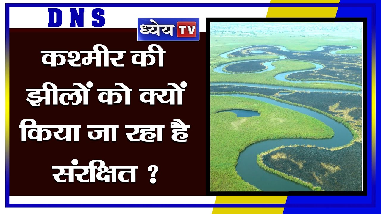 DNS: क्या होते हैं वेटलैंड्स?
