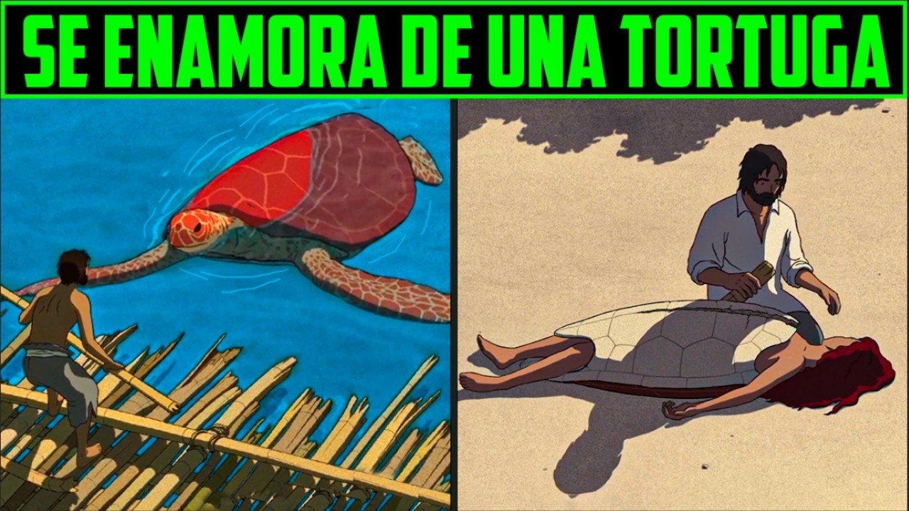 TORTUGA SE CONVIERTE EN MUJER - LA TORTUGA ROJA  RESUMEN EN 10 MINUTOS