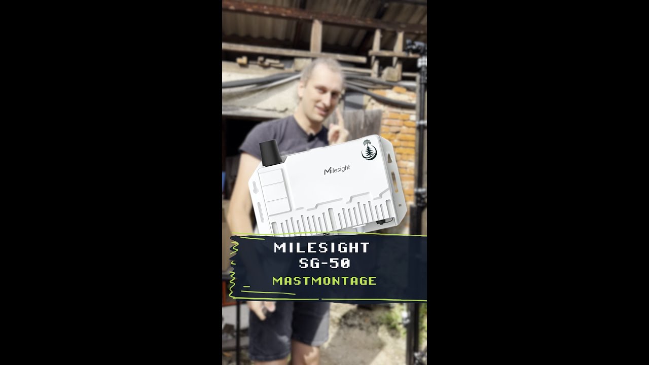 🇩🇪 Milesight SG50 Mastmontage