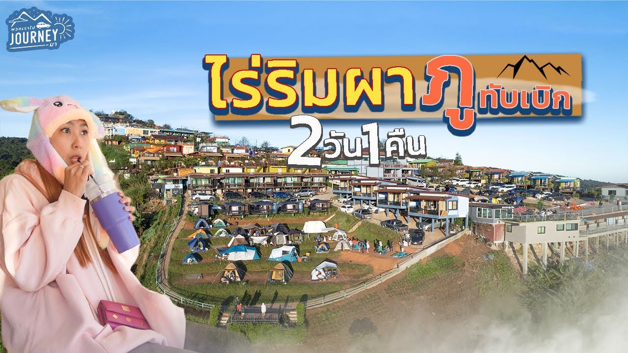 ริมผา ภูทับเบิก  จุดดูทะเลหมอกที่สวยที่สุดบนภูทับเบิก