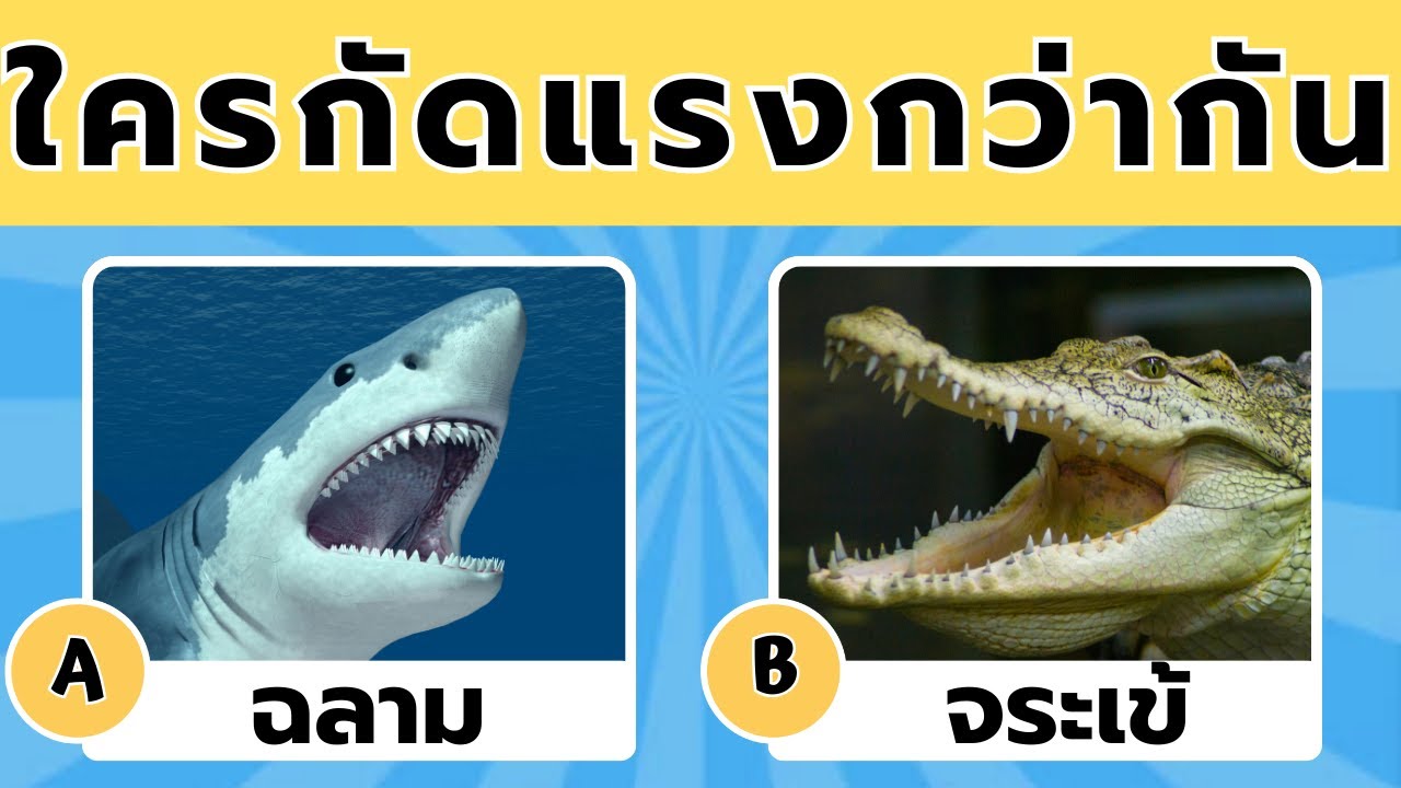 🧠🦁 คุณรู้จักสัตว์ดีแค่ไหน? 🦓✅ เกมความรู้ทั่วไปเกี่ยวกับสัตว์
