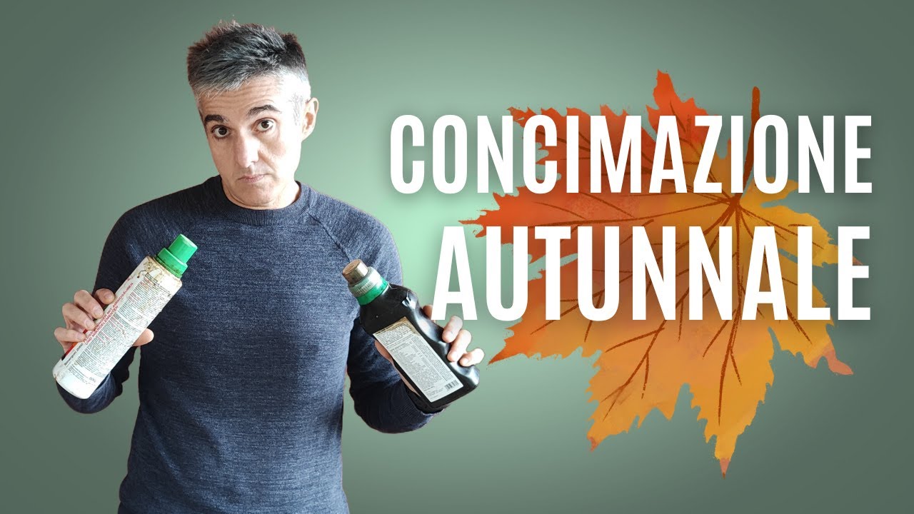 COME FARE la CONCIMAZIONE AUTUNNALE nel BONSAI