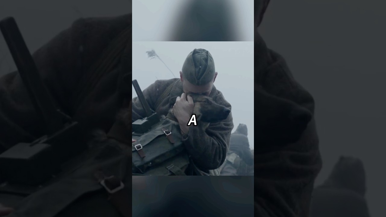 【Full Version】The dog becomes a sacrifice machine😡#movie #films#FutureLink