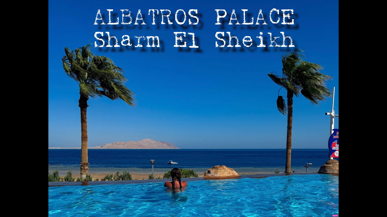 Hotel Albatros Palace Sharm El Sheikh, Egipt, Nurkowanie, Delfinarium, Old Market Sharm, rafa