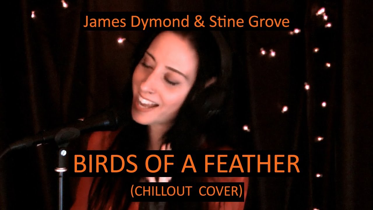 James Dymond & Stine Grove &ndash; Birds of a Feather (Chillout Cover)