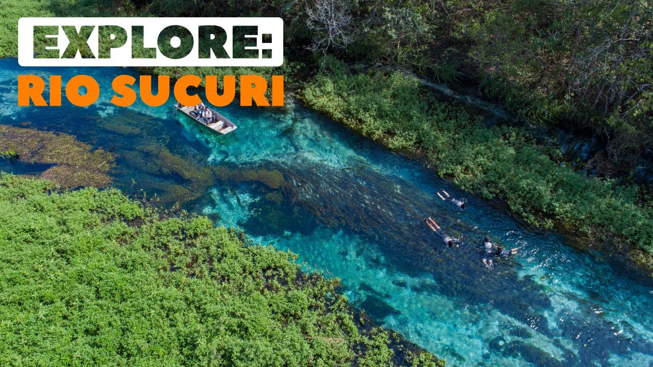Passeio de FLUTUAÇÃO Rio Sucuri, Bonito MS