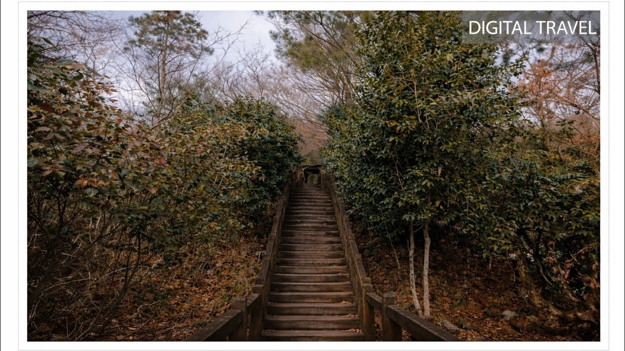 Forest walk with sitar — Gwangmyeong Temple| DIGITAL TRAVEL | South Korea - Jeju island
