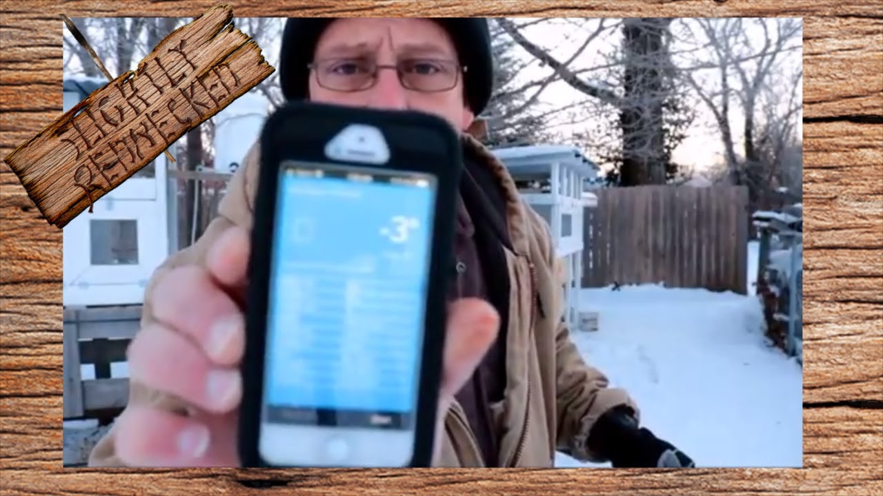 How do Quail do In Extreme Cold - the SR Quail Update 1-22-18
