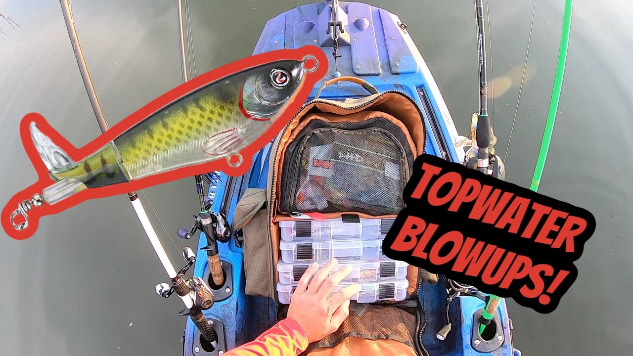 Vibe Shearwater 125 | Standing While Top Water Bass Fish!