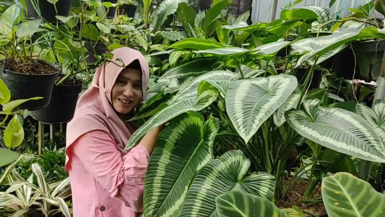 Dolan Sambil Belanja Di Kios Bunga Teman