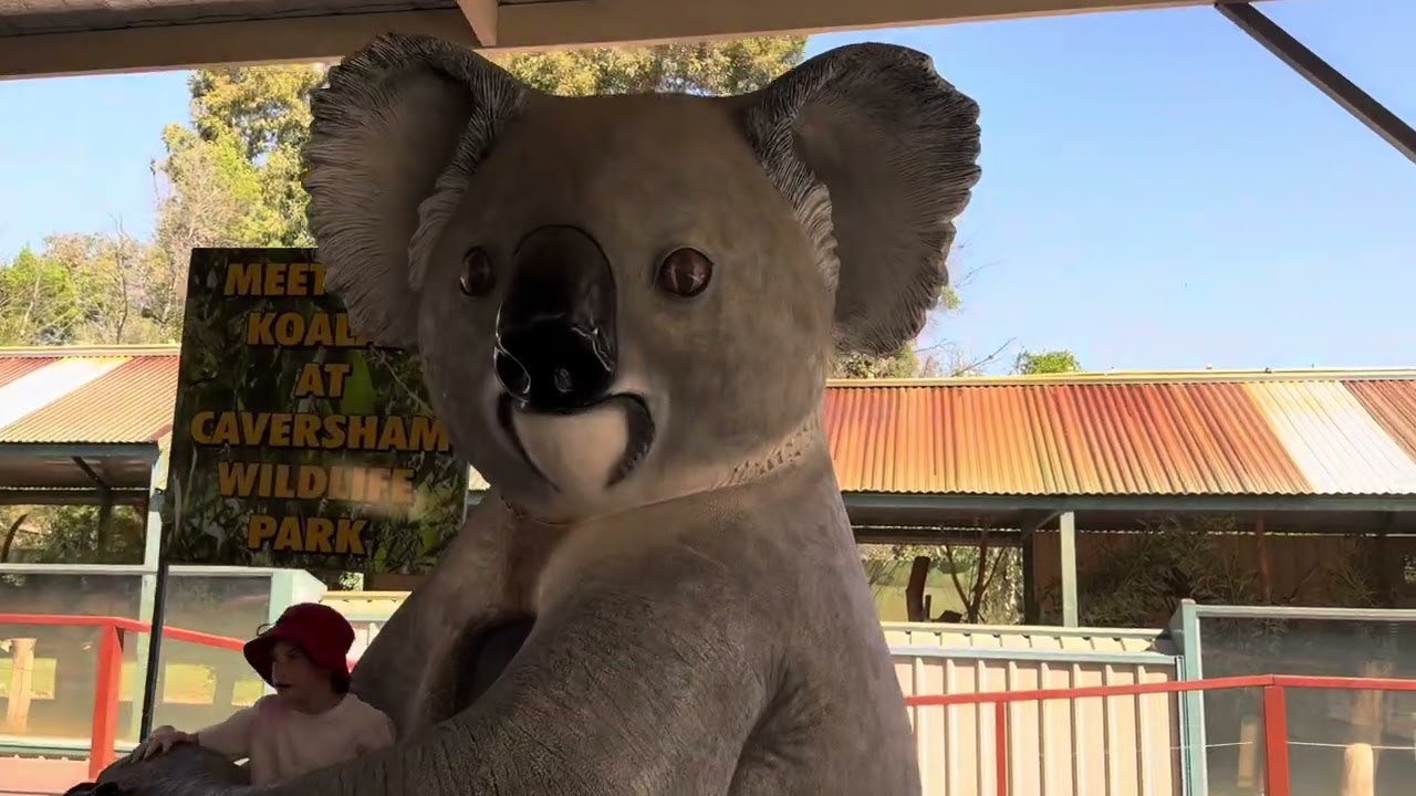 🇦🇺Perth zoo 🎈Caversham Wildlife Park