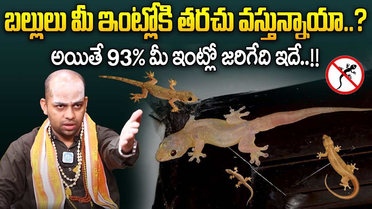 బల్లులు మీ ఇంట్లోకి తరచు వస్తున్నాయా.? || Lizards At Home || Balli Sastram || Avinash Dasu || iDream