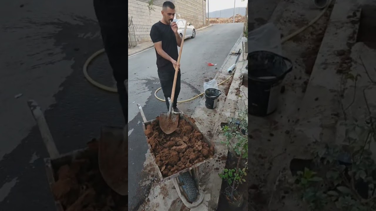 چاندنی دوو داری عەلوکە لە تەنیشت مارئ ،، خەلیفان  .khalifan
