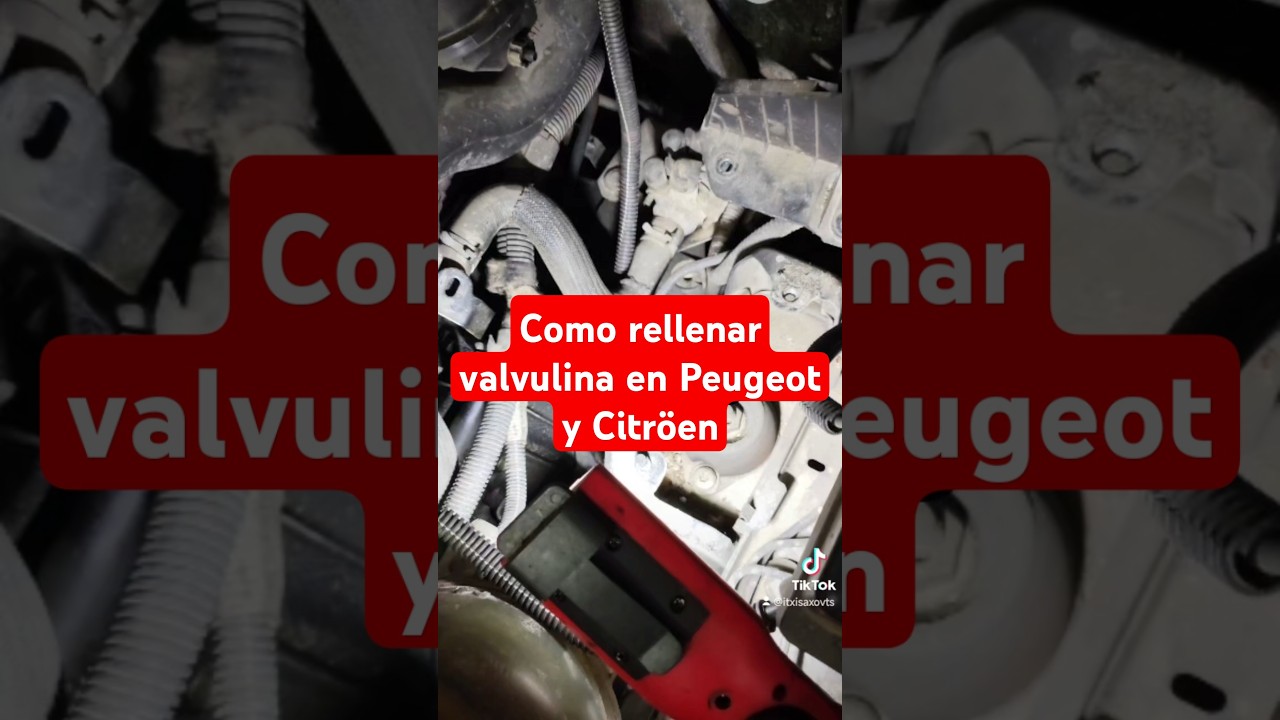 Como rellenar valvulina en Peugeot y Citr&ouml;en