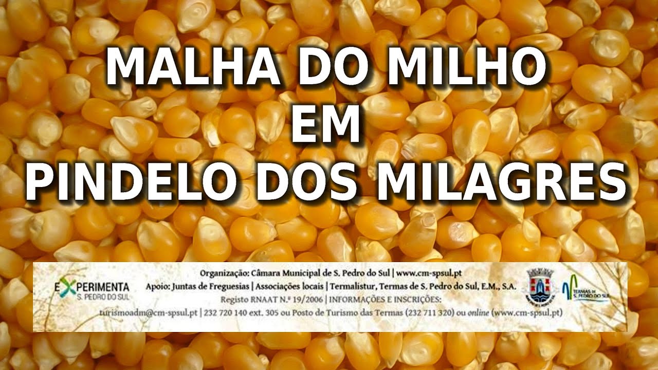 Malha Do Milho - Pindelo dos Milagres
