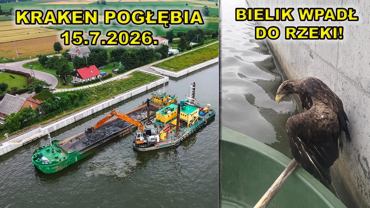 Kraken pogłębia w Nowakowie.Bielik wpadł do rzeki Elbląg.Pechowa środa 15.7.2026.