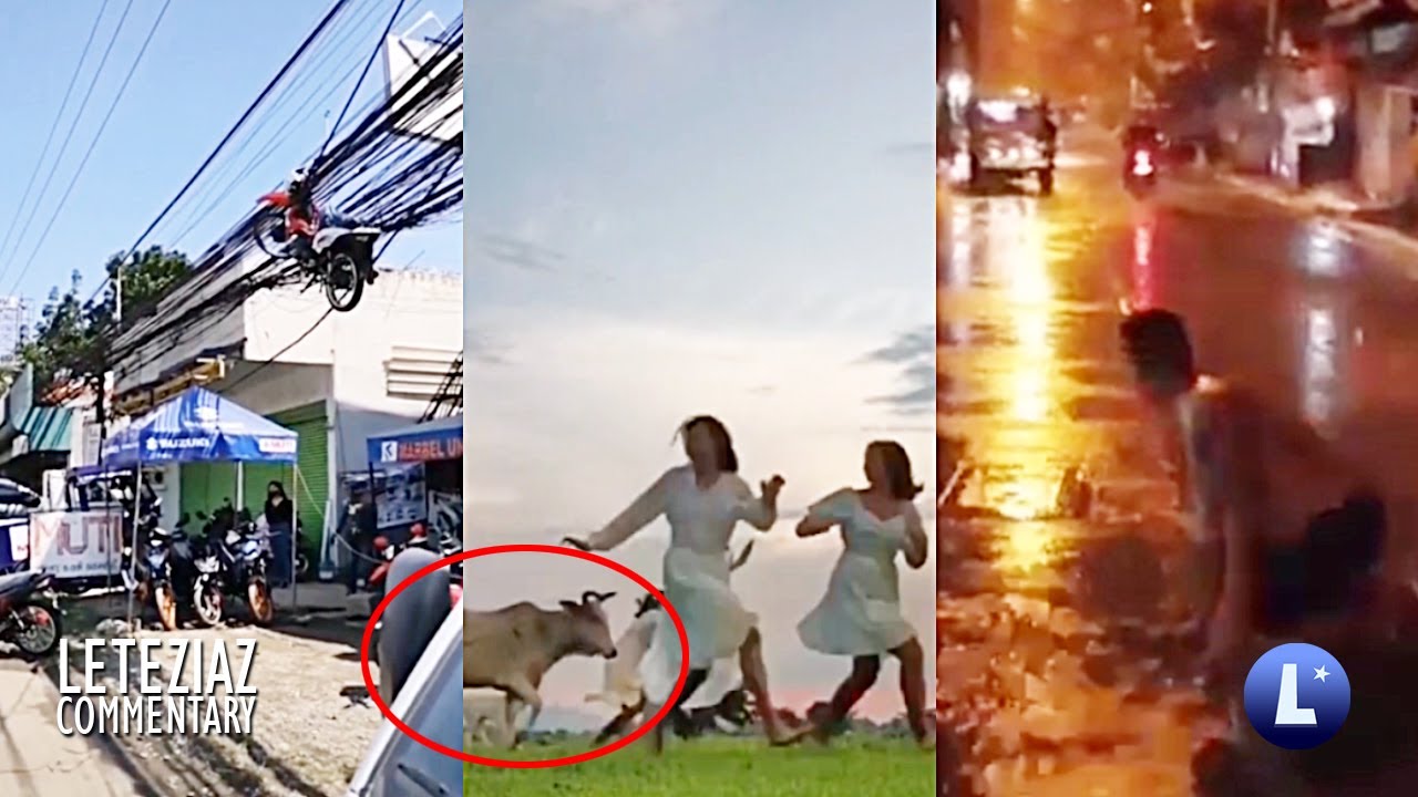 Nag Tiktok Hinabol Ng Baka Kalabaw Tiktok Sa Langit Funny Videos Compilation