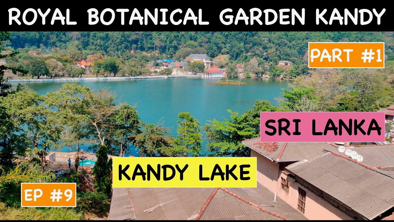 KANDY ROYAL BOTANICAL GARDEN  SRI LANKA | KANDY SRI LANKA LAKE VIEW | India To Sri Lanka |VLOG 21