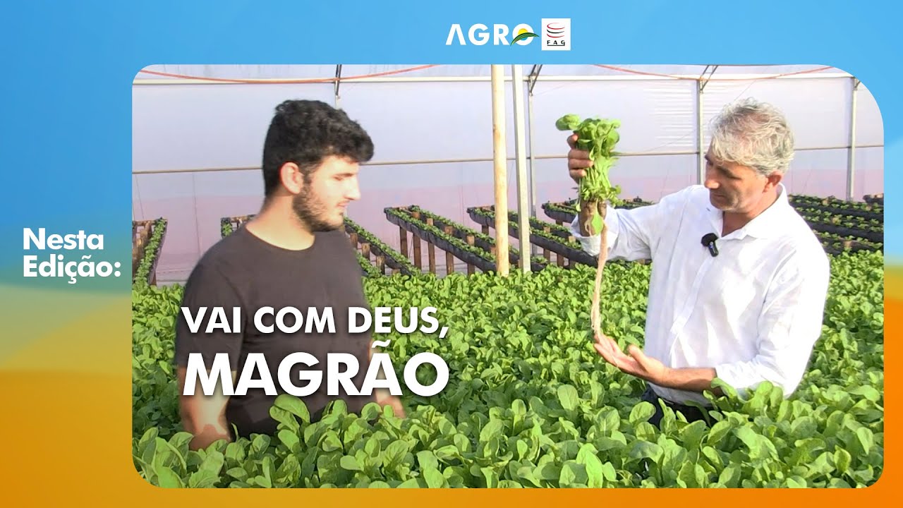 AgroFAG - 01/02/2026