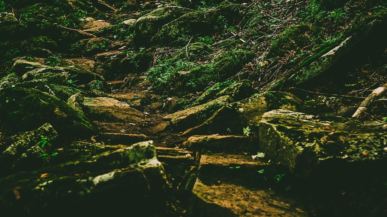 DIALED episode #46 -TRACK WALK WITH NEKO MULALLY - Snowshoe WV, World Cup