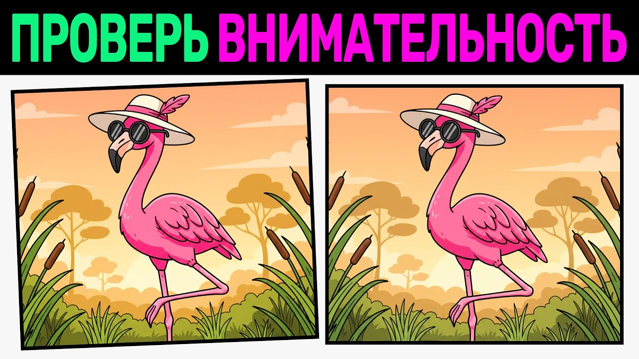 🔍 Найди 3 отличия! | №57🧠 | Проверь внимательность | Тренировка памяти