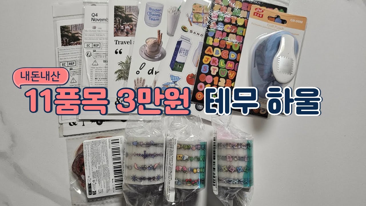 내돈내산 테무 문구 하울