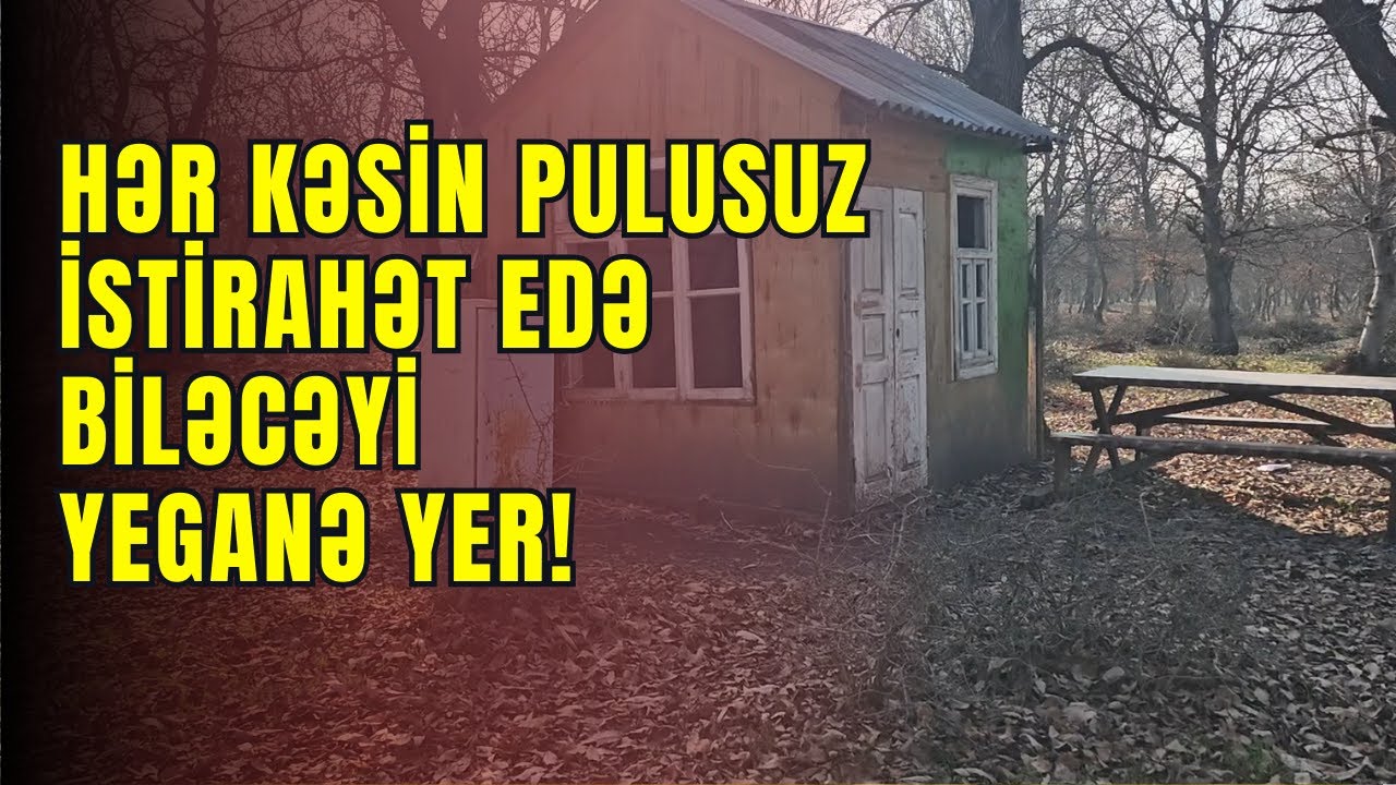 Masallının Yeni Alvadı Meşəsində Pulsuz İstirahət Katecləri