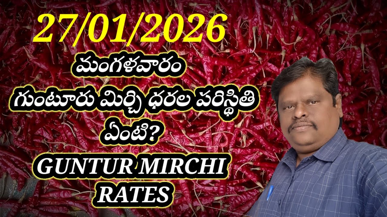 27 January 2026 GUNTUR MIRCHI MARKET RATES గుంటూరు మిర్చి మార్కెట్ ధరలు