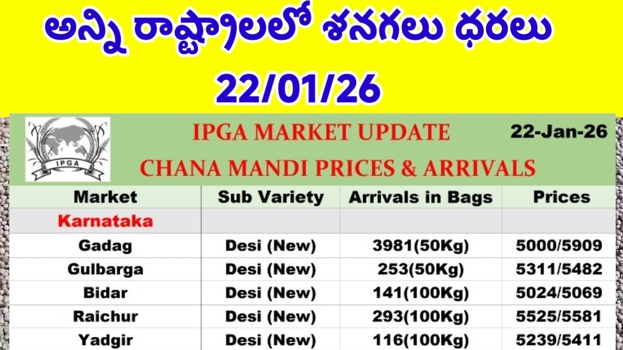 chana rate todaychana dal price in ap todaychana today