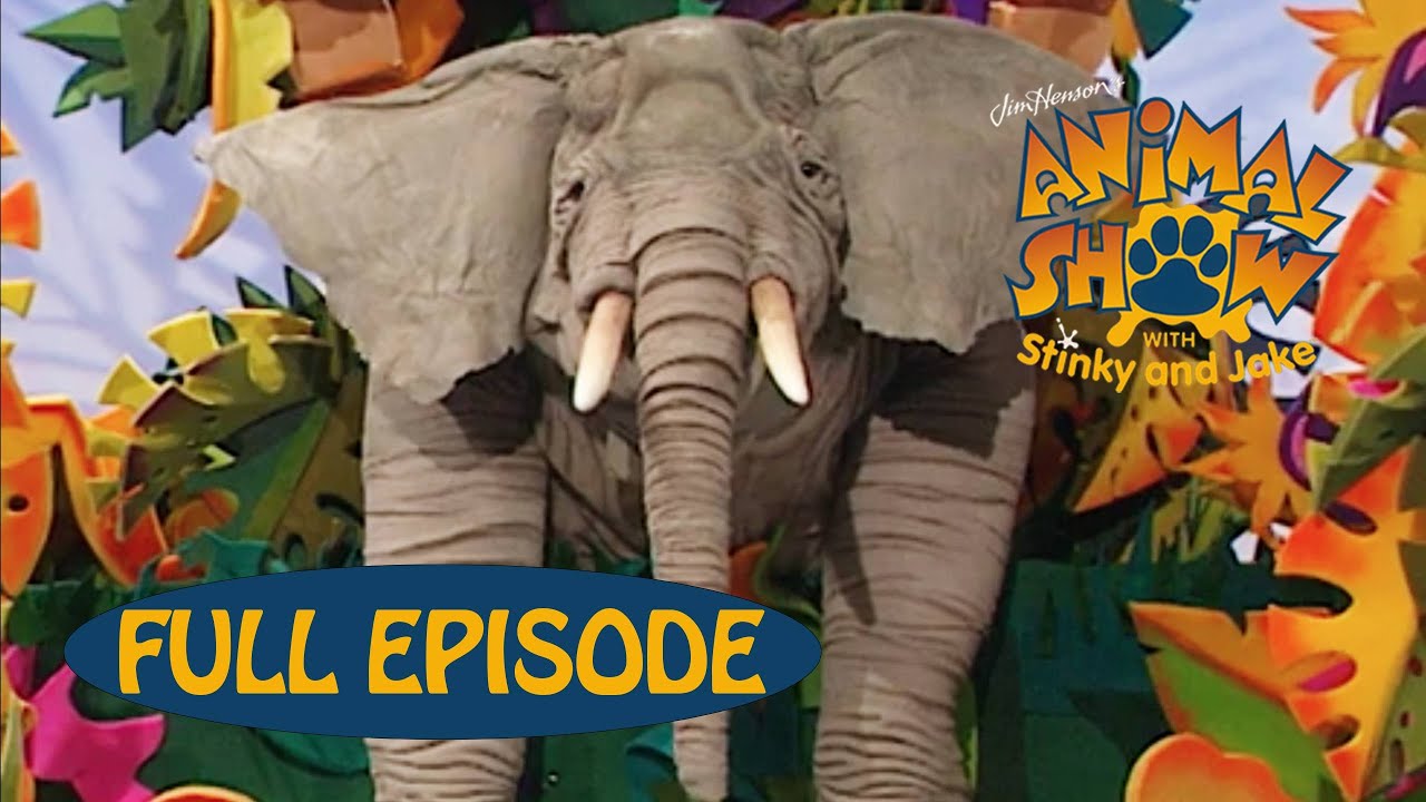 Animal Show | Elephant 🐘 / Hunting Dog 🐕 | Jim Henson Family Hub | Kids Cartoon