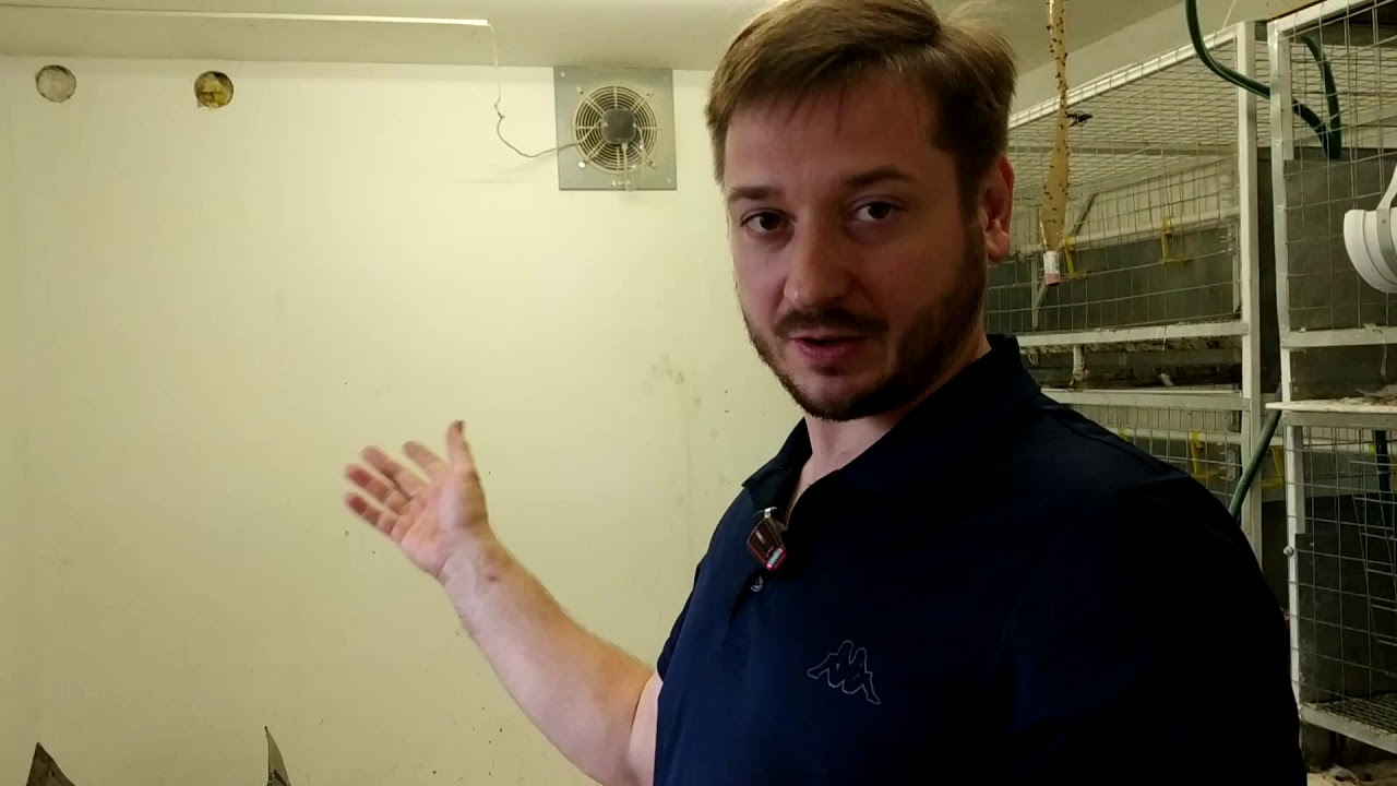 Вентиляция курятника, кондиционер в курятнике
