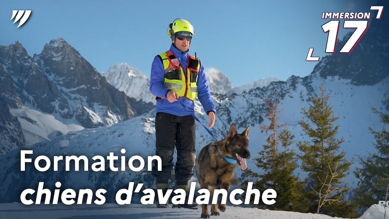 IMMERSION 17 | Formation chiens d'avalanche