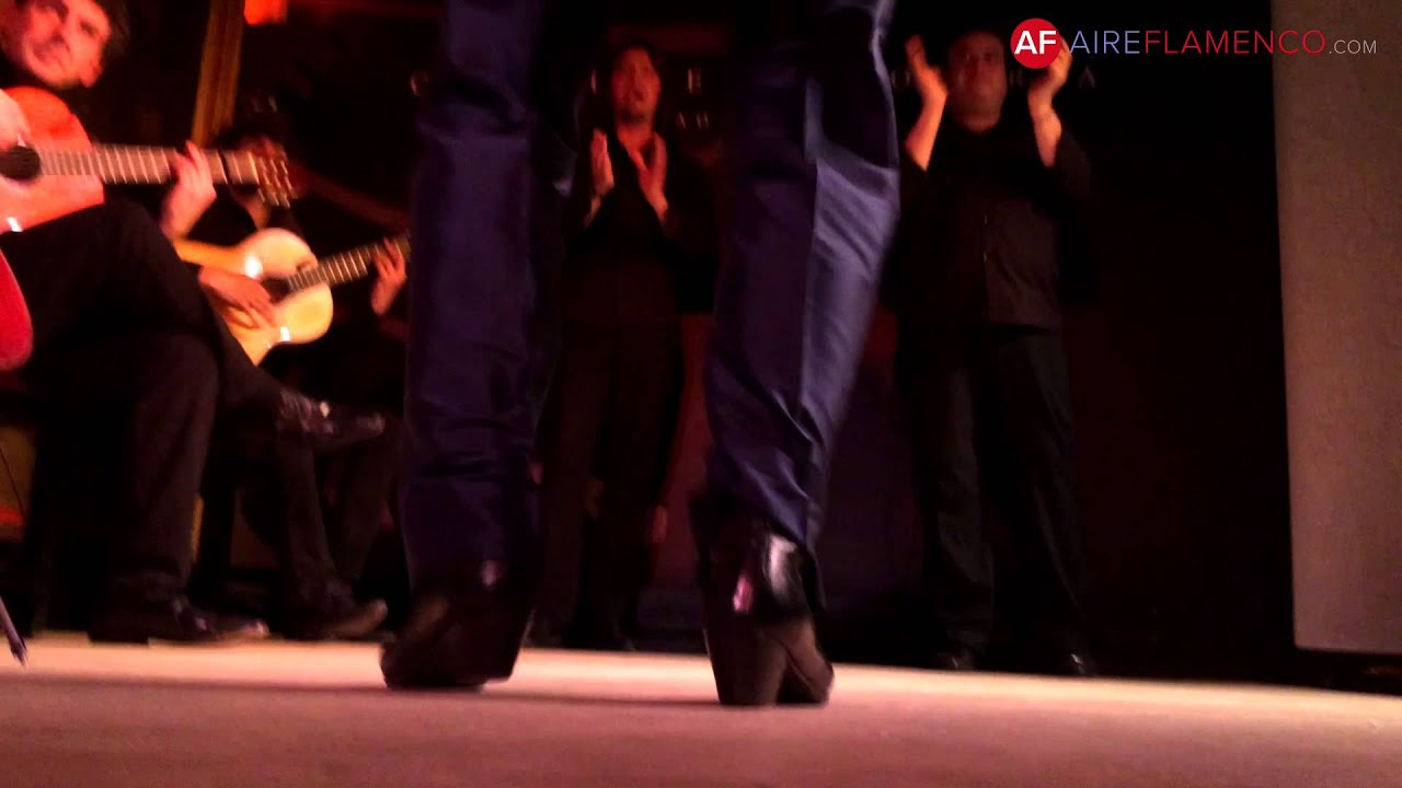 Baile flamenco | Javier Bar&oacute;n por alegr&iacute;as
