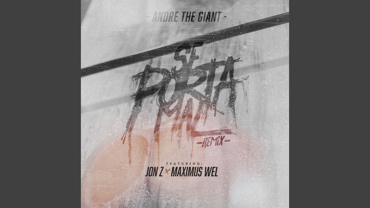 Se Porta Mal (Remix)