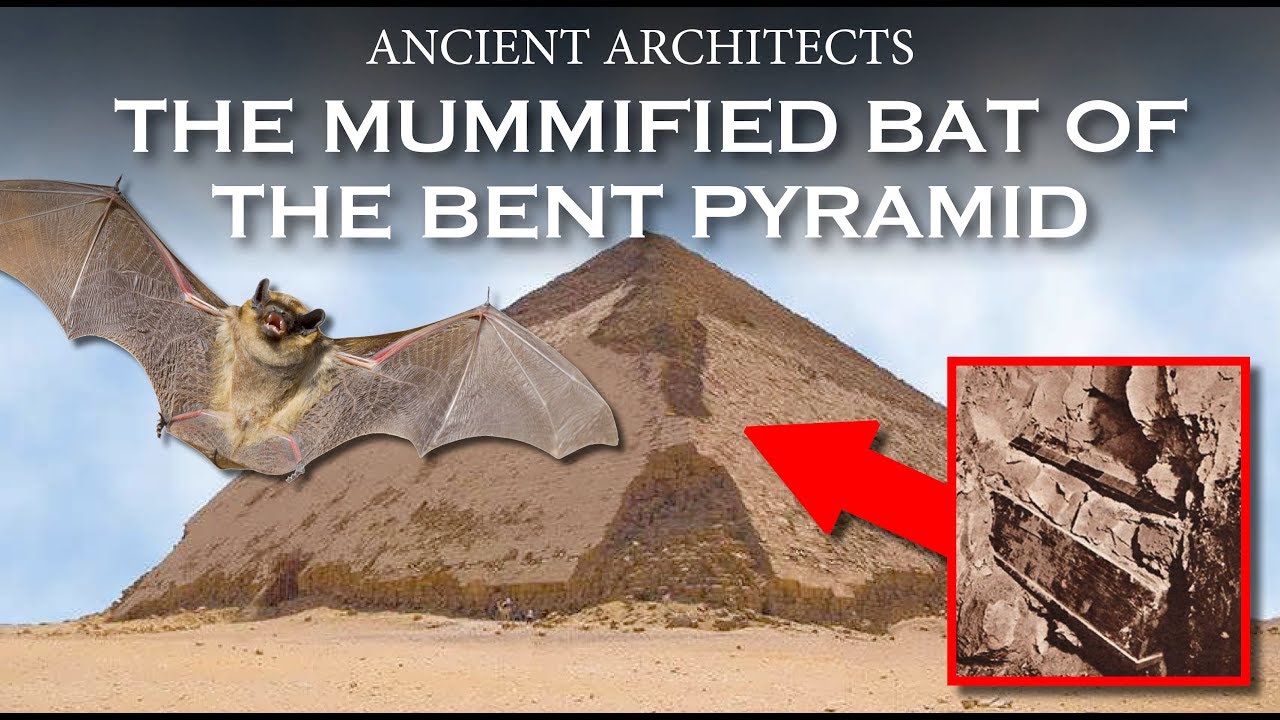 The Mummified Bat in the Bent Pyramid of Egypt | Ancient Architects
