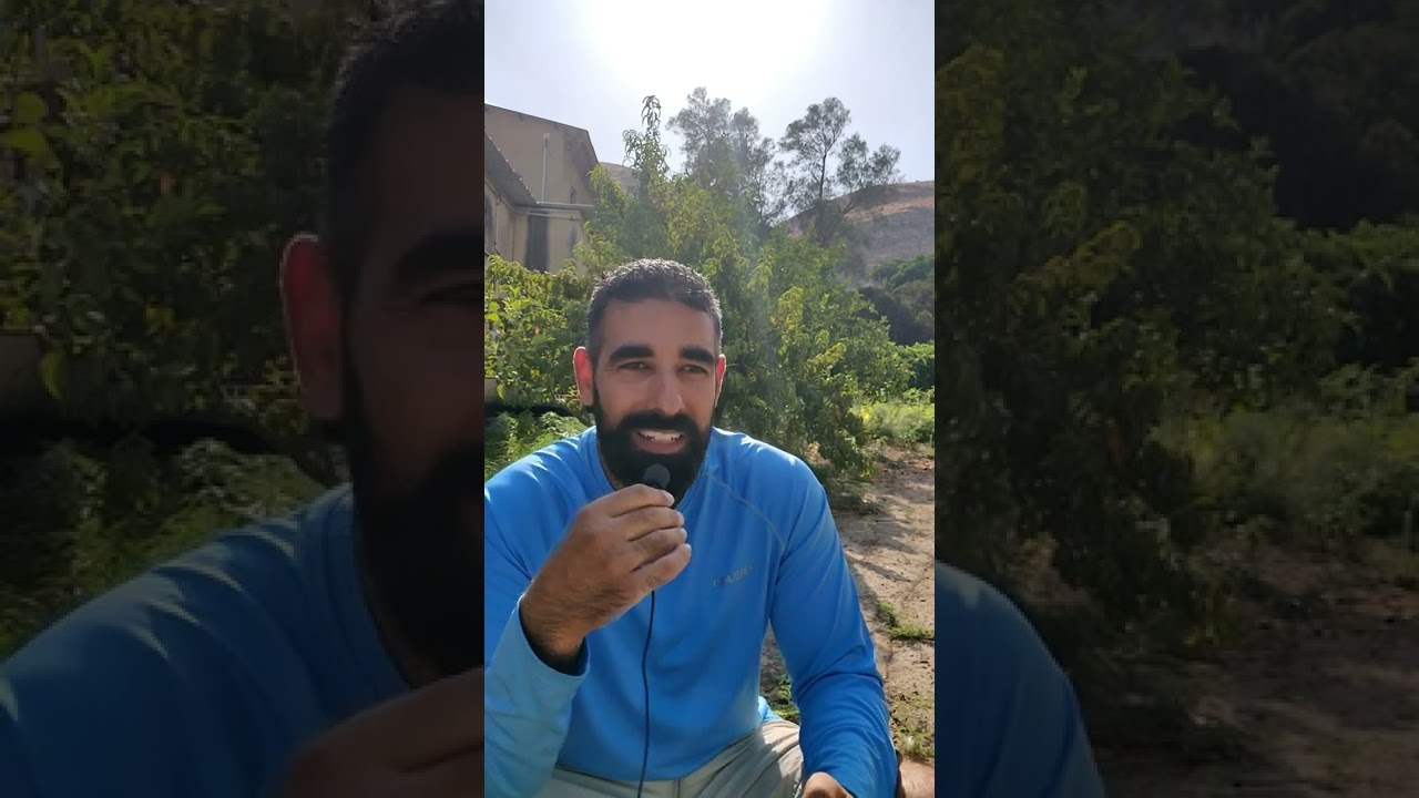 סיכום ספר | 