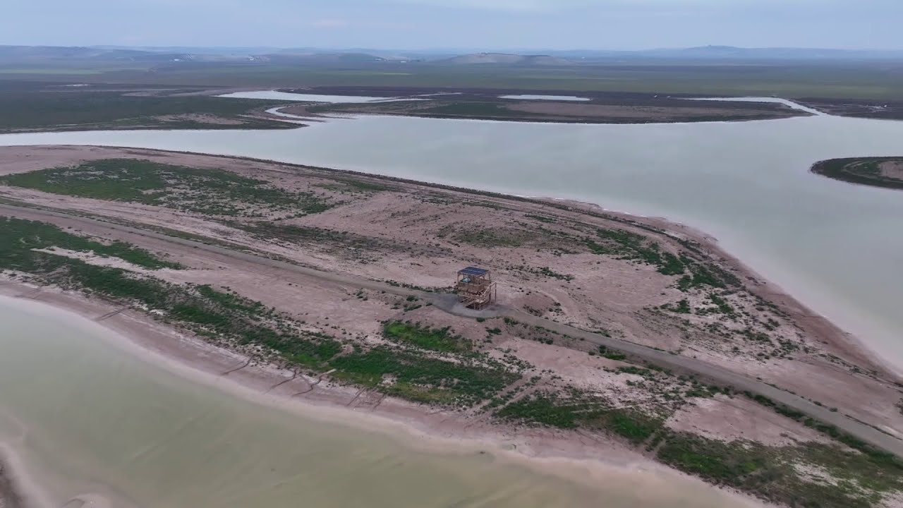 Recuperación de Gabela Honda, un humedal de 260 hectáreas en Trebujena, Cádiz