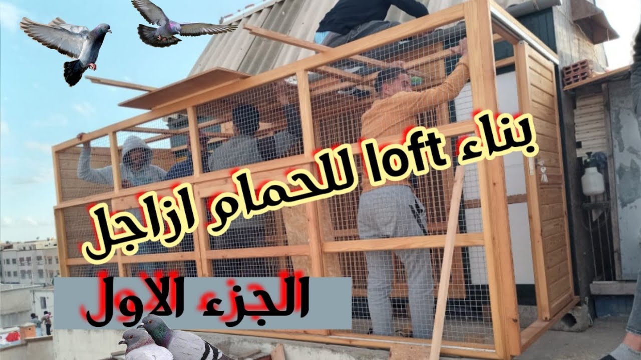 الجزء الاول: بناء وترميم سجنة🕊 للحمام الزاجل🕊 للأخ أحمد الهلالي احد ابطال مدينة الجديدة