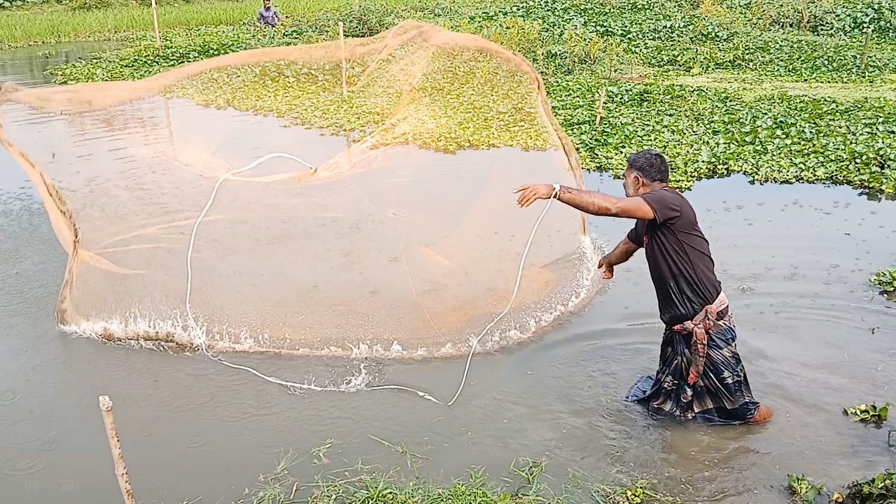 Fishing in Village River - Beautiful Cast Net Fishing Video - Best Cast Net Fishing