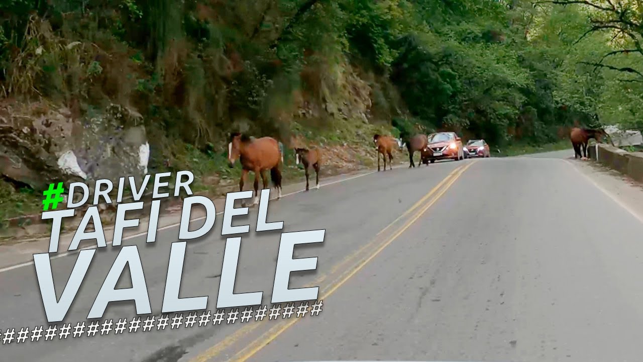 Driving Tour ENTRANDO A TAFI DEL VALLE CENTRO I TUCUMAN I ARGENTINA 4K