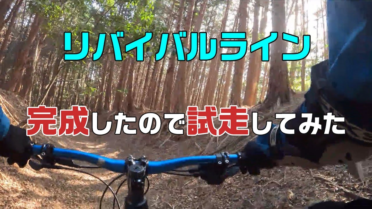 リバイバルライン完成したので試走してみた20260118