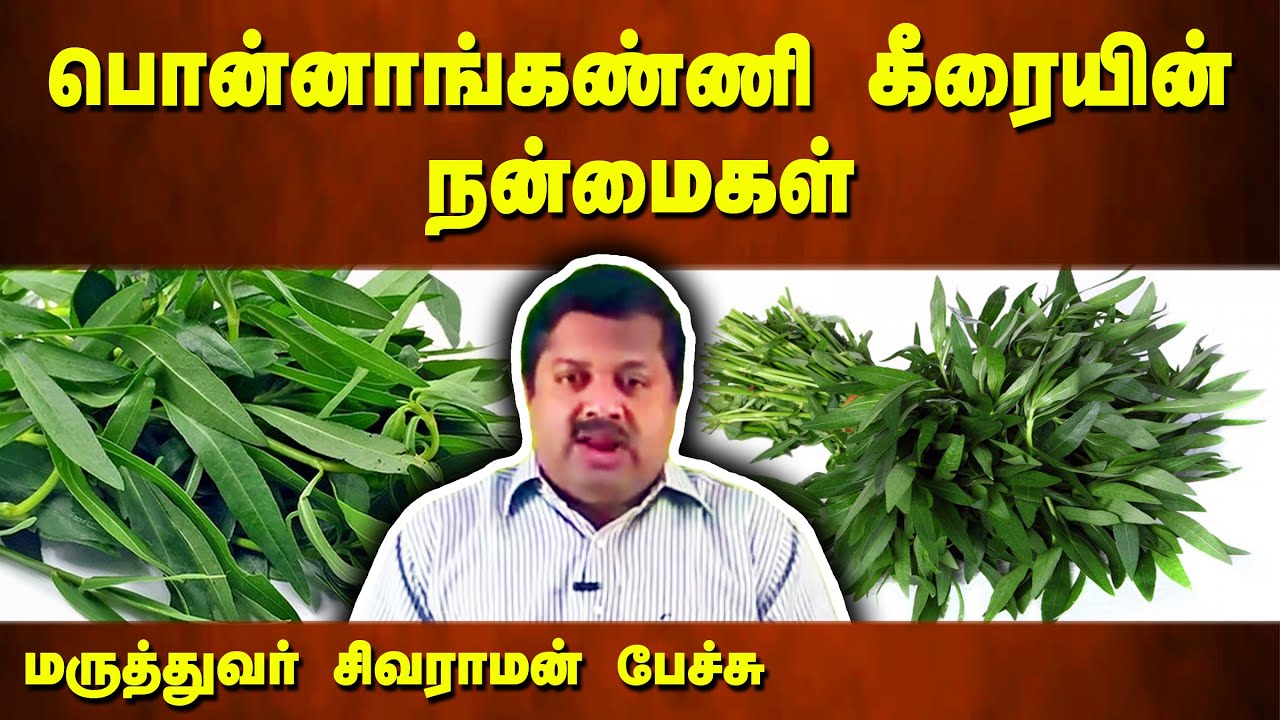 பொன்னாங்கண்ணி கீரையின் நன்மைகள்! Dr Sivaraman speech in Tamil | Ponnanganni Keerai benefits in Tamil