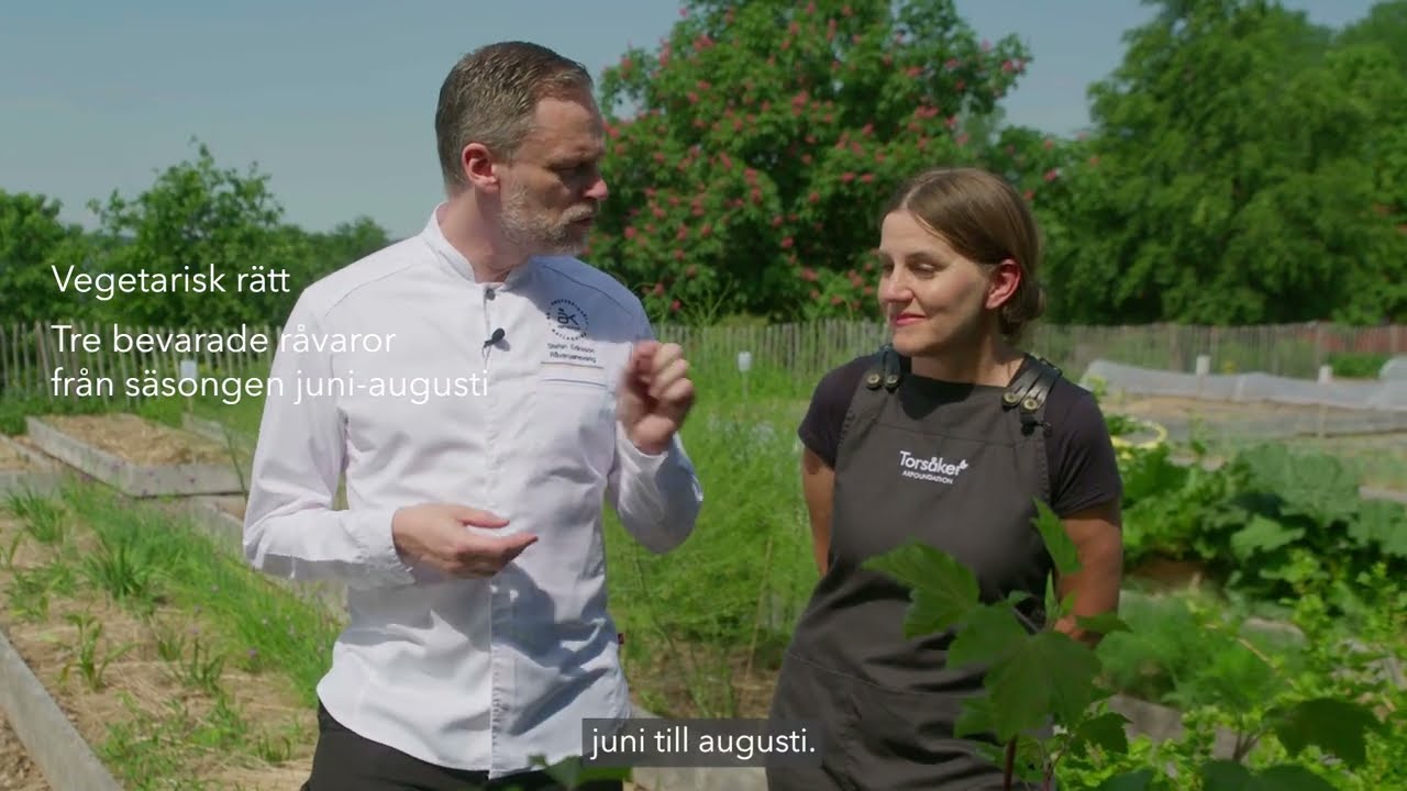 Årets Kock utmanar kockeliten: Laga vegetariskt med råvaror i säsong 🌱