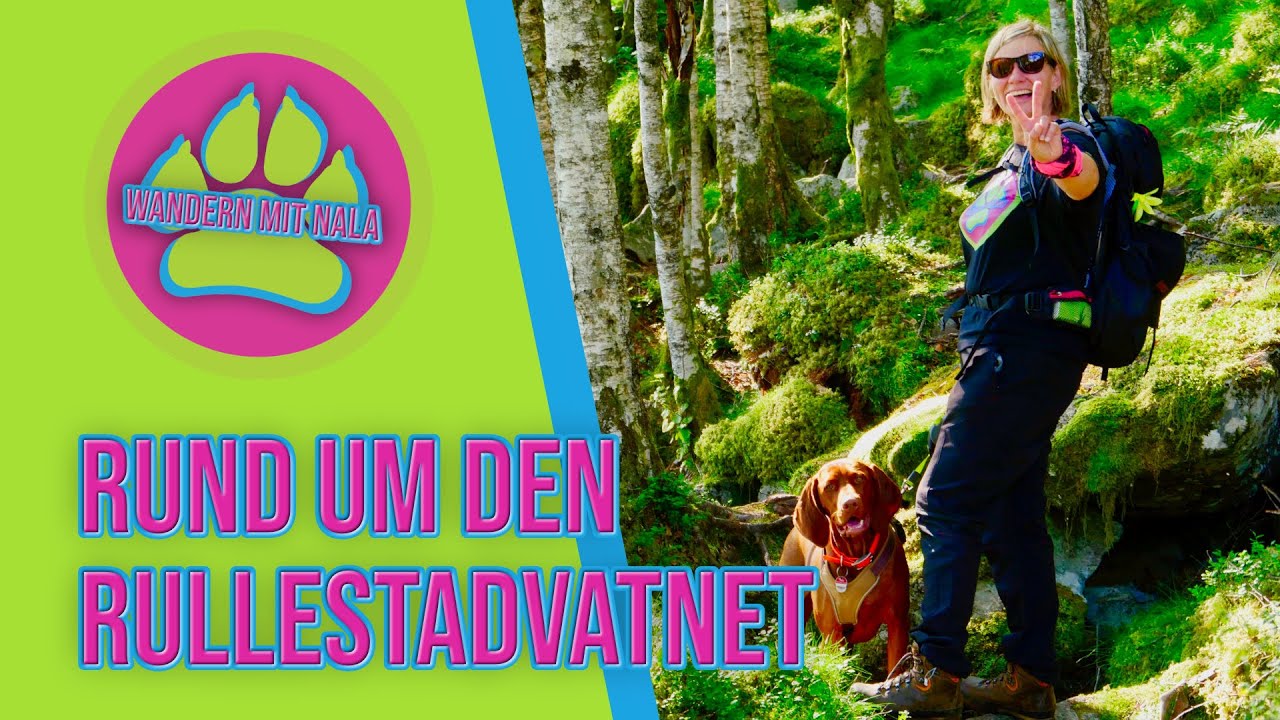 Rund um den Rullestadvatnet 🇳🇴 - Urlaub mit Hund in Norwegen - Wandern mit Hund