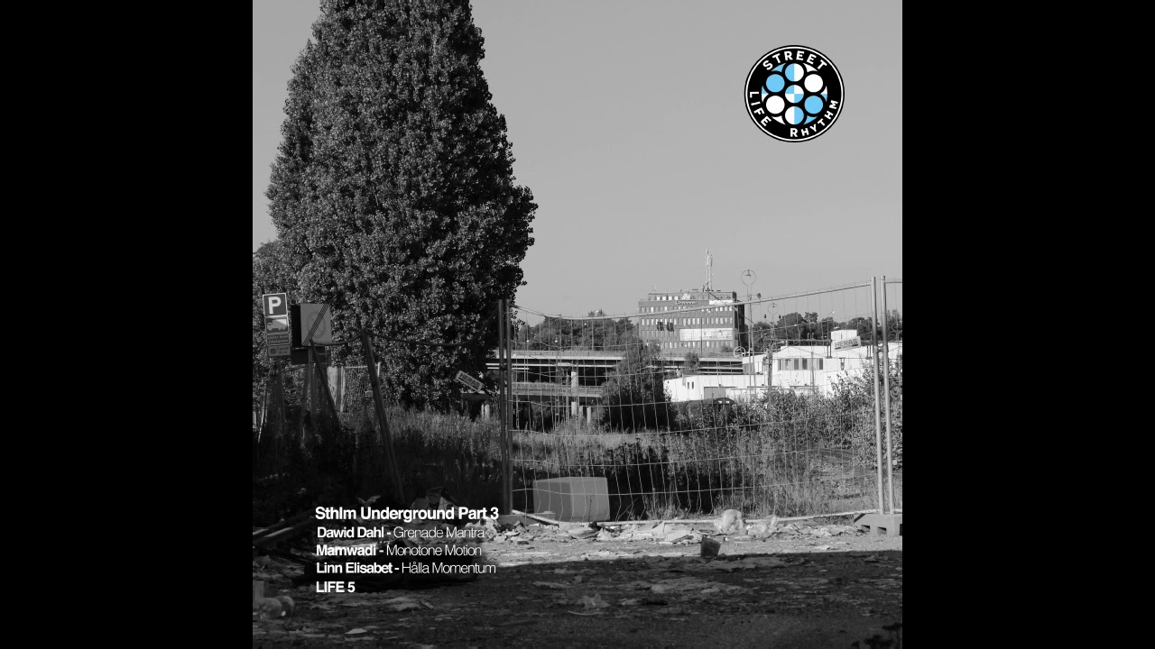 Linn Elisabet - Hålla Momentum (LIFE5)