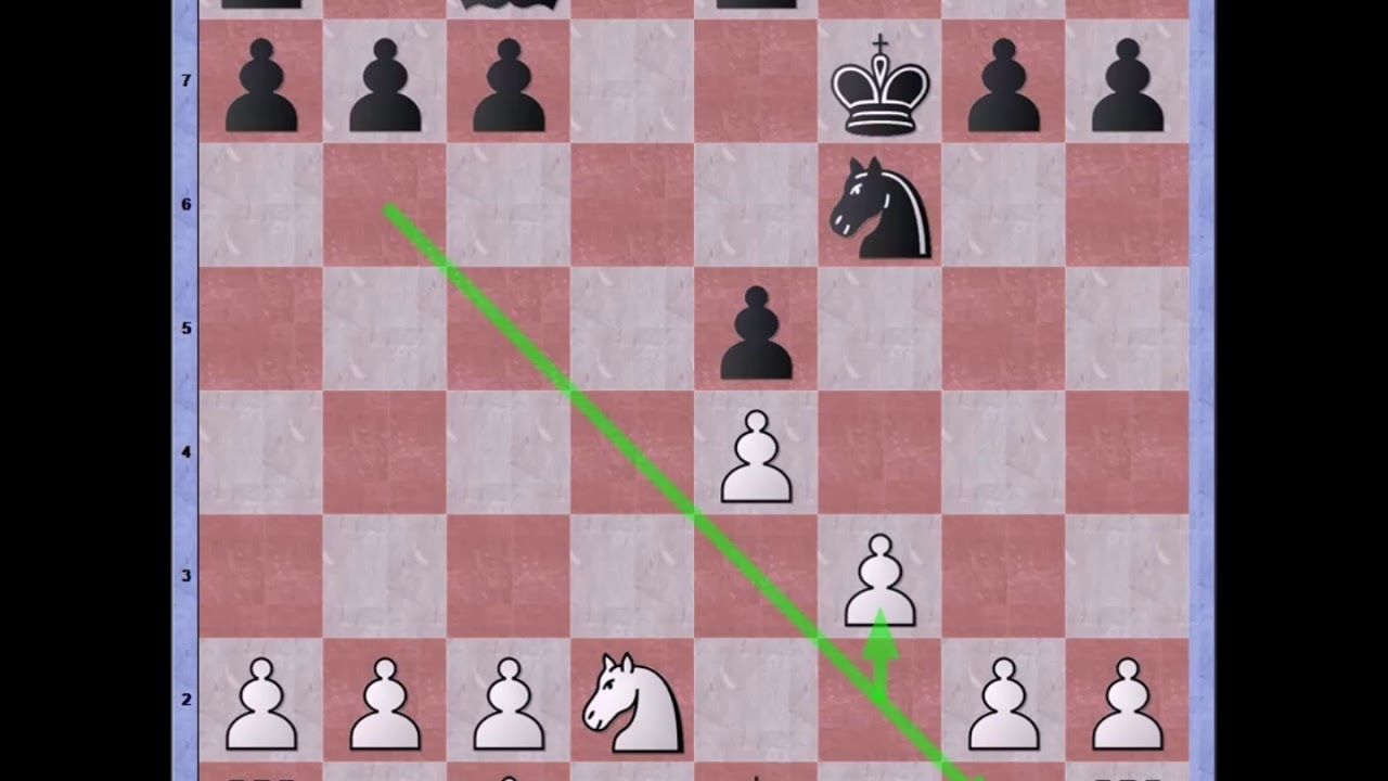 Bastiaan refutes a poor Black Lion