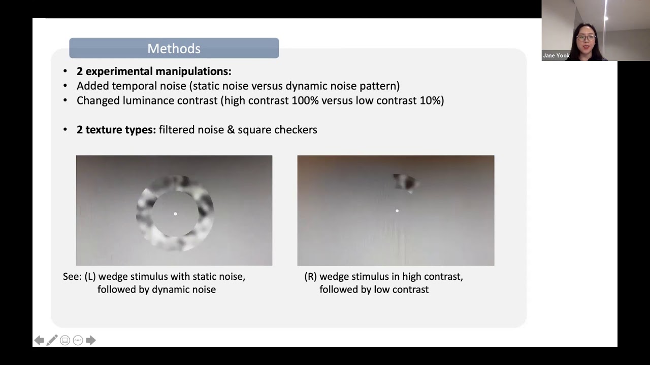 Talk: Motion extrapolation in the flash-lag effect depends on perceived, rather than physical speed
