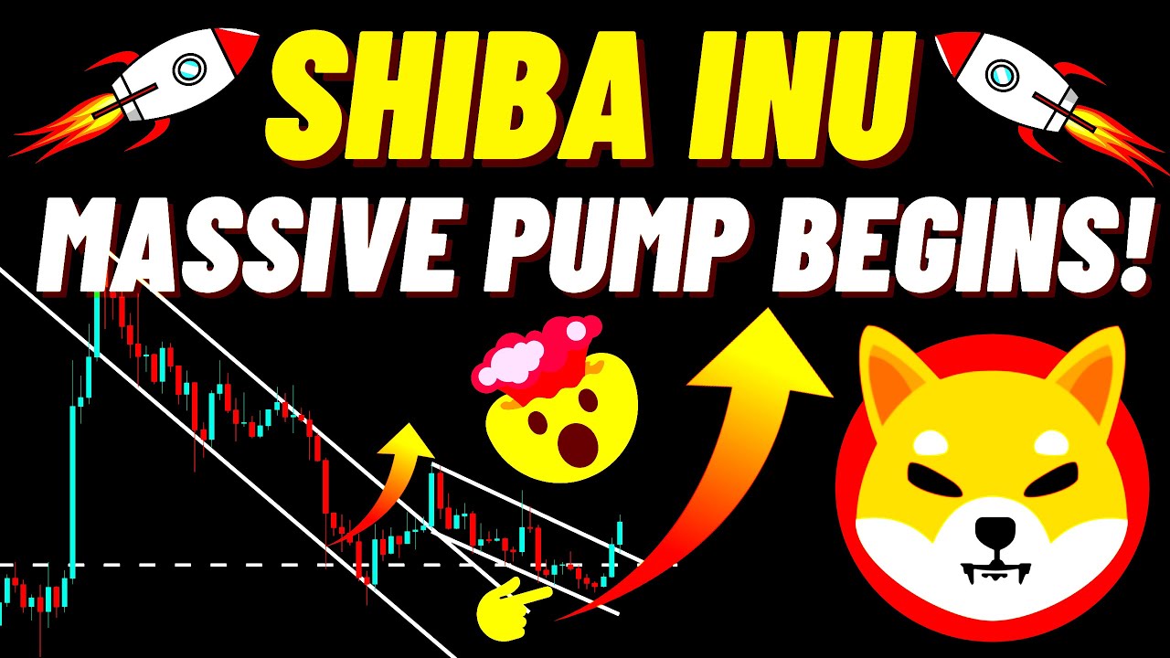 Massive Pump Of SHIBA INU (SHIB) Begins!