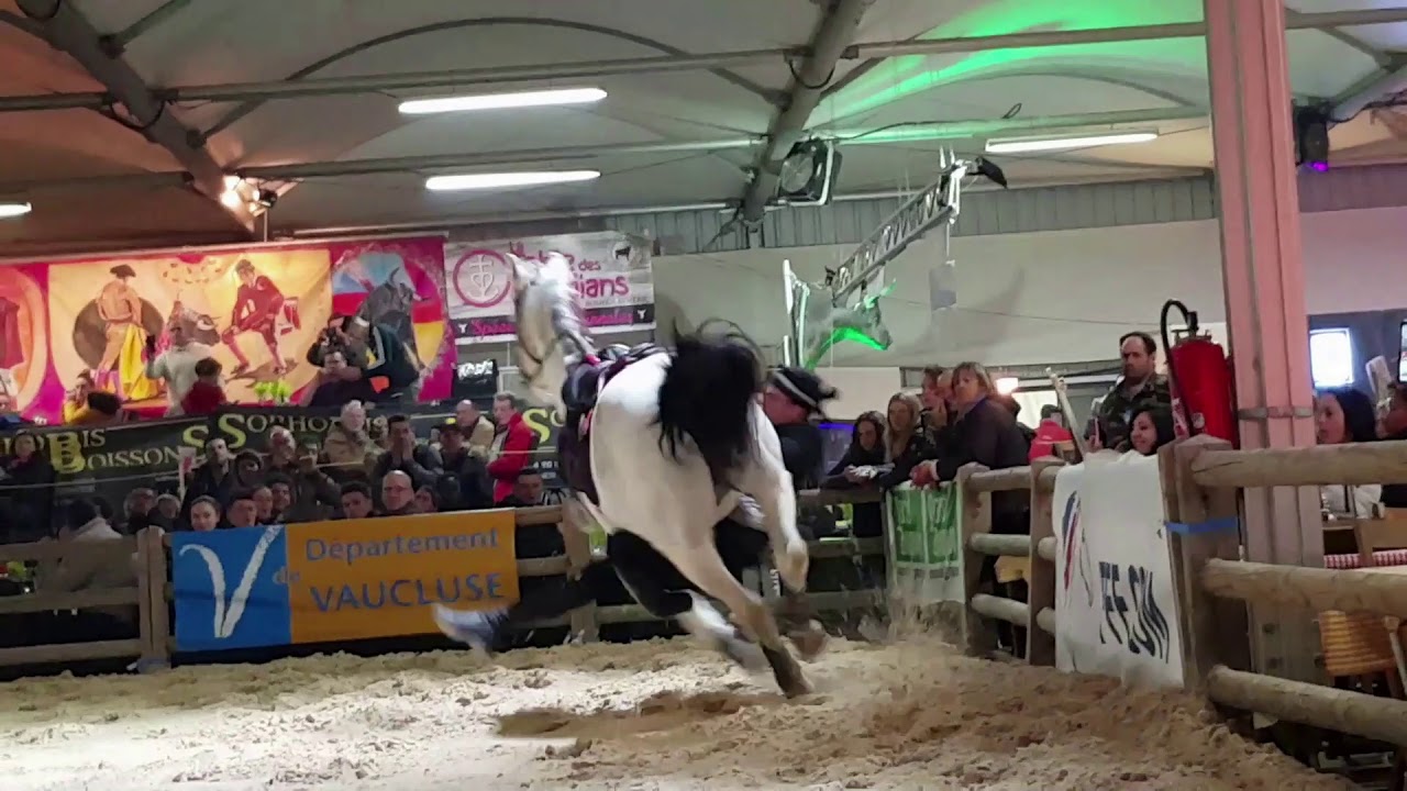 Clément Mizzi et Laurie Lefèvre, Voltige – Cheval Passion 2019