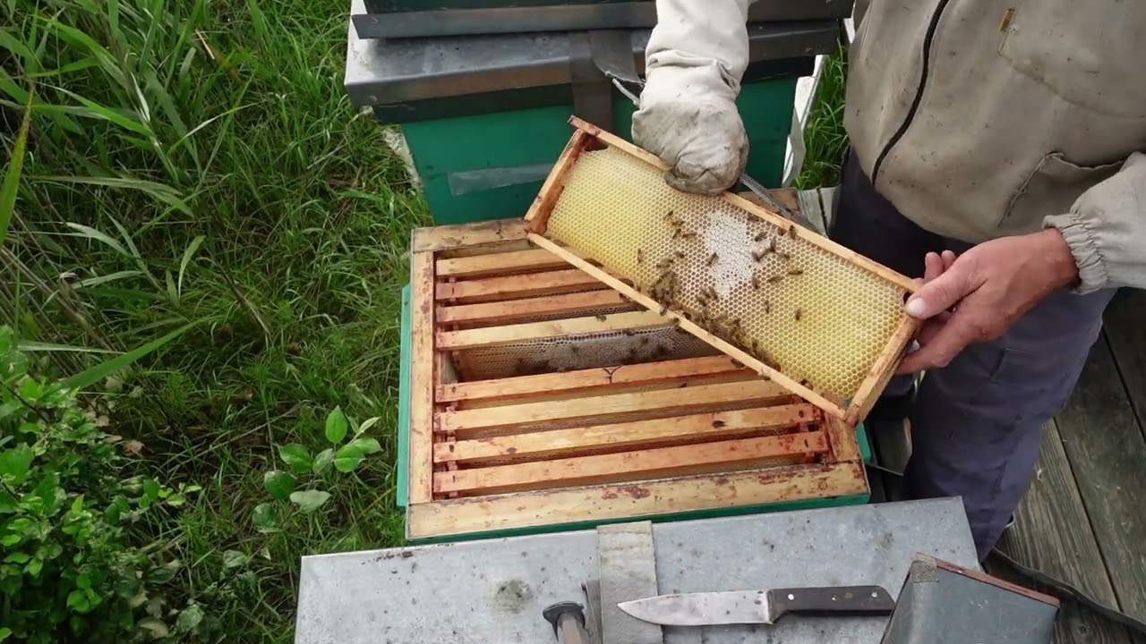 провальный точек по меду?